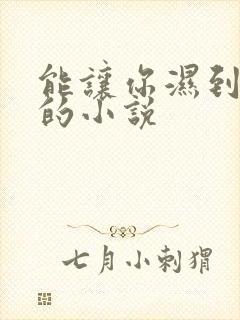 能让你湿到不行的小说