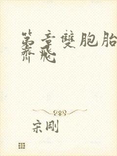 第章双胞胎姐妹齐飞封面