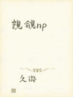 觊觎np