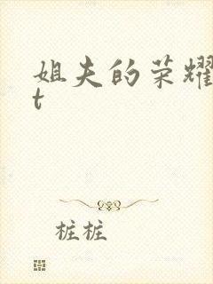 姐夫的荣耀txt封面