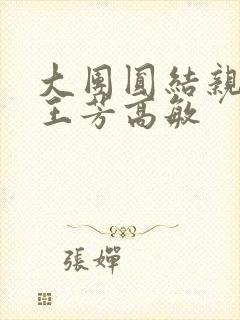 大团圆结亲情会王芳高敏封面