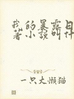 我的暴露日记原著小说叫什么