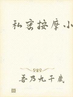 私密按摩小说