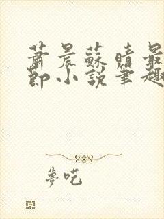 萧晨苏晴最新章节小说笔趣阁封面