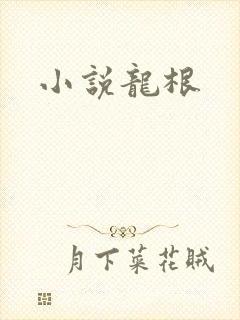 小说龙根封面