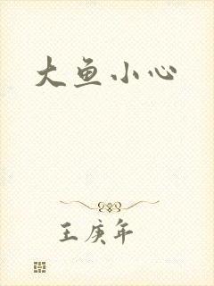 大鱼小心封面