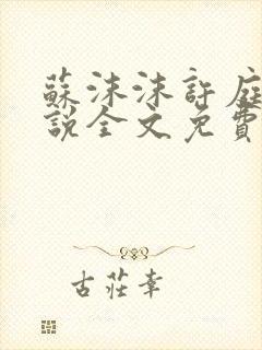 苏沫沫许庭川小说全文免费阅读