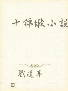 十锦缎小说封面
