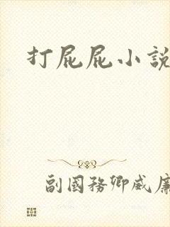 打屁屁小说封面