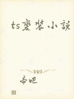 ts变装小说