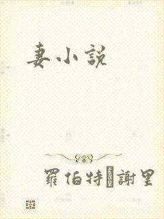 妻小说