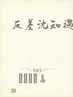 反差沈知遇晏应