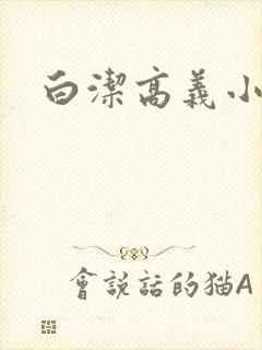白洁高义小说