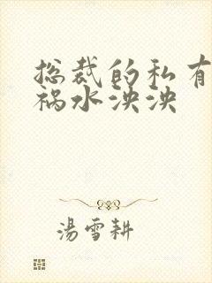 总裁的私有宝贝祸水泱泱