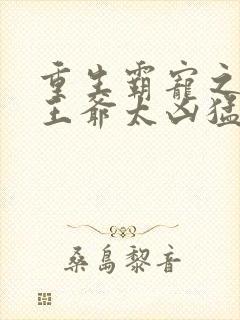 重生霸宠之摄政王爷太凶猛