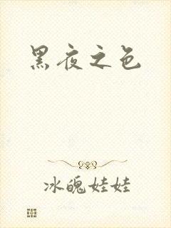 黑夜之色封面