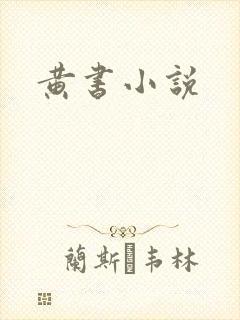 黄书小说