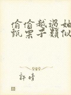 偷偷越过她by甄栗子类似小说封面