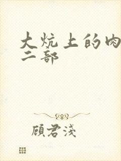 大炕上的肉伦第二部