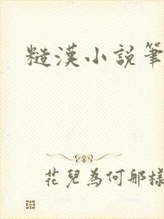 糙汉小说笔趣阁