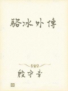 骆冰外传封面