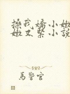 搡我娇小嫩苞又嫩又紧小说封面