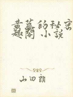 黄蓉的秘密 笔趣阁 小说