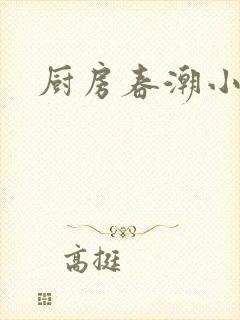 厨房春潮小说封面