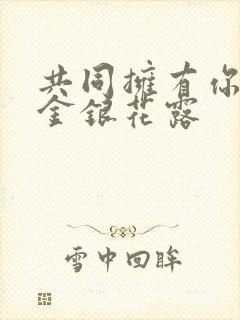 共同拥有你by金银花露封面