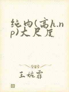纯肉(高h.np)大尺度