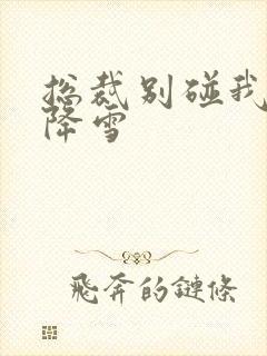 总裁别碰我 韩降雪