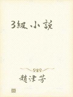 3级小说