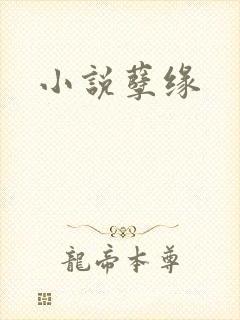 小说孽缘