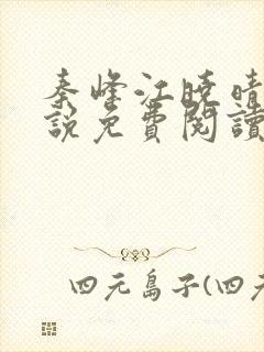 秦峰江晓晴的小说免费阅读