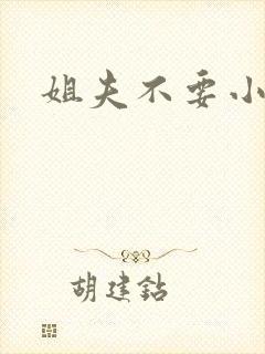 姐夫不要小说