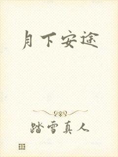月下安途封面