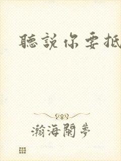 听说你要抵抗我