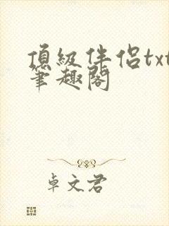 顶级伴侣txt笔趣阁封面