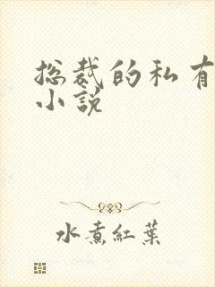 总裁的私有宝贝小说