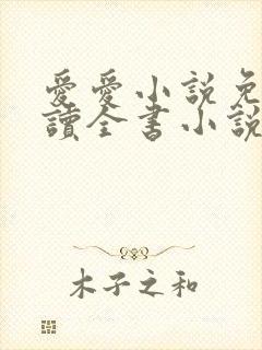 爱爱小说免费阅读全书小说乡村封面