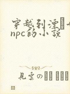 穿越到湮婸世界npc的小说封面