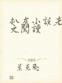 扒灰小说老马全文阅读