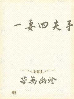 一妻四夫手记