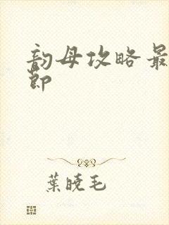 韵母攻略最新章节封面