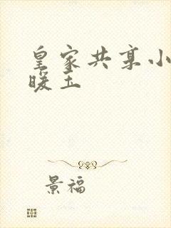 皇家共享小公主暖玉