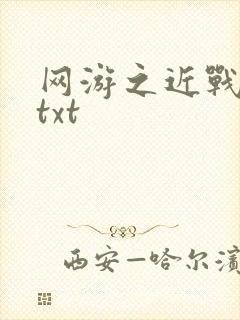 网游之近战法师txt