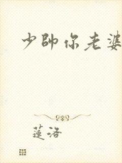 少帅你老婆
