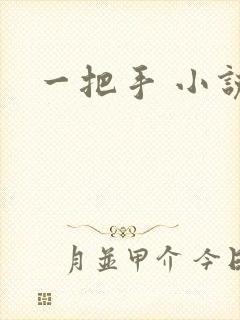 一把手 小说