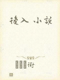 后入 小说