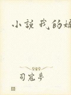 小说 我的娇妻